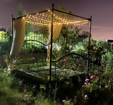 Bed of roses, Soul Oasis