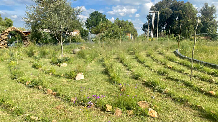 Labyrinth walk in Centurion