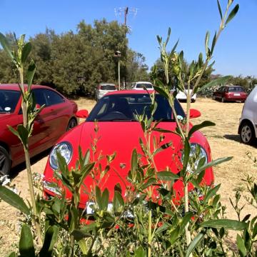 Parking area, Soul Oasis
